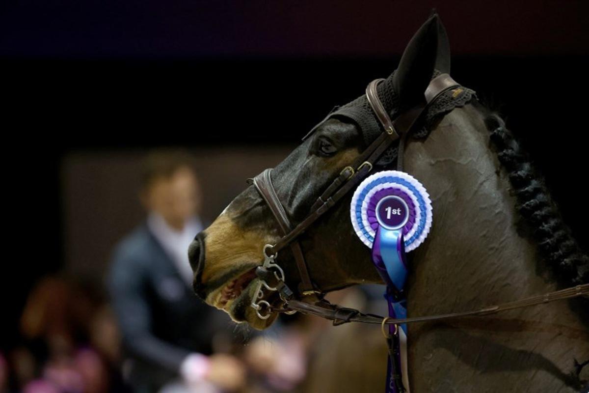 Switzerland' Martin Fuchs riding Connor Jei made wears his first prize after the FEI World Cup Jumping event at the Parc des Expositions in Bordeaux, south-western France, on February 8, 2025.  ROMAIN PERROCHEAU / AFP