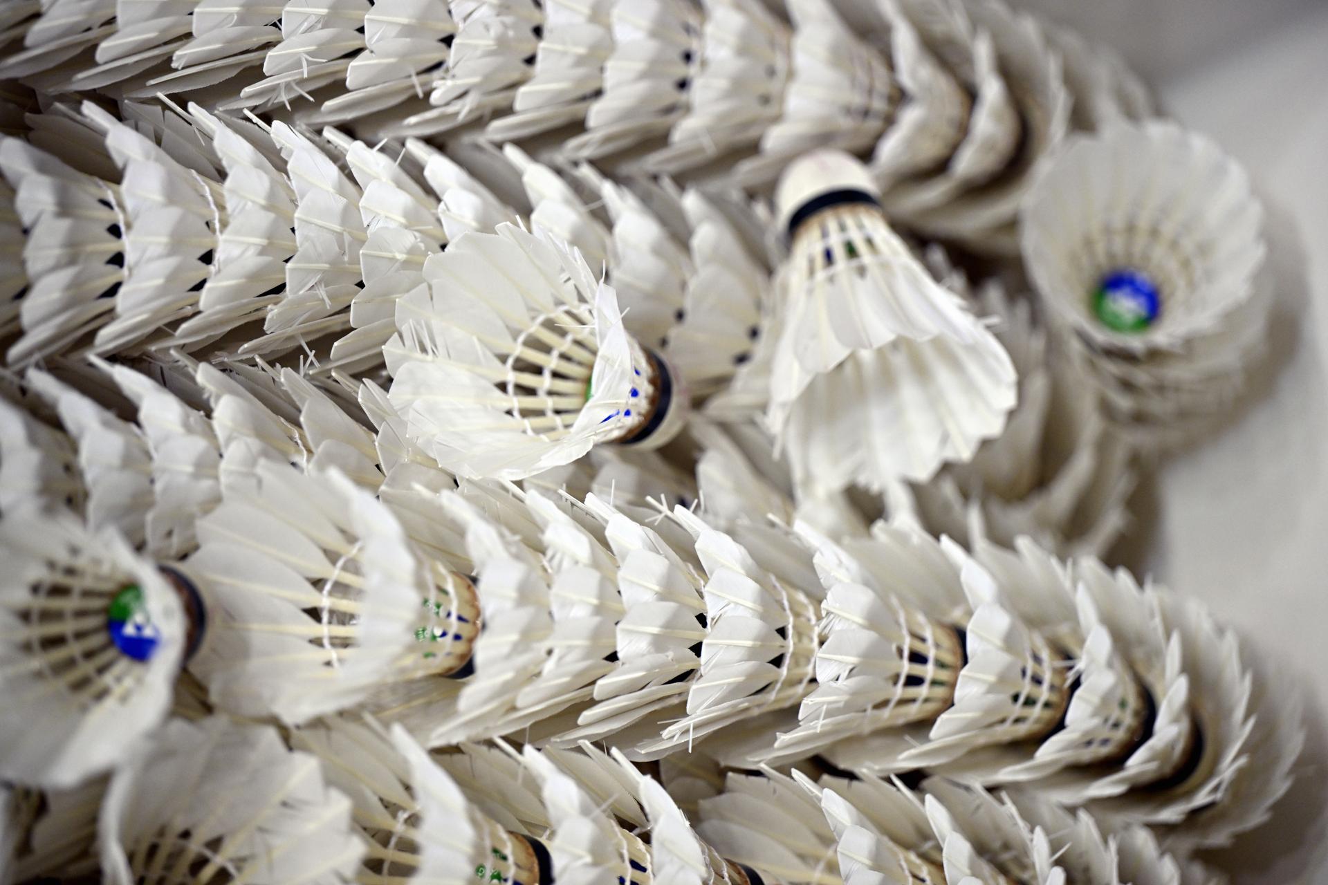 Illustration picture shows badminton shuttle during a training camp organized by the BOIC-COIB Belgian Olympic Committee in Belek, Turkey, Saturday 18 November 2023. The camp takes place from 11 to 25 November. BELGA PHOTO ERIC LALMAND