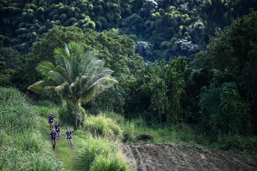 Participants compete in an orienteering race in Saint Pierre as part of the Raid des Alizes exclusively all-female multi sport competition in the French Caribbean island of Martinique on November 27, 2021.   Each team represent a charity project of their choice during the competition. According to the final ranking, donations will be directly processed in favor of the represented associations. Anne-Christine POUJOULAT / AFP