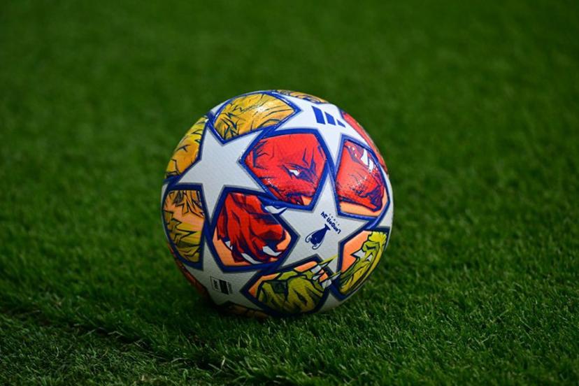 This photograph shows the official match ball on the pitch ahead of the UEFA Champions League semi-final second leg football match between Paris Saint-Germain (PSG) and Borussia Dortmund, at the Parc des Princes stadium in Paris on May 7, 2024.  Miguel MEDINA / AFP