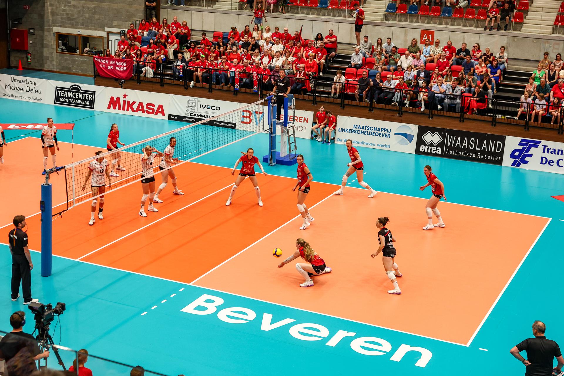 Illustration picture taken during the match between Asterix AVO Beveren and Darta Bevo Roeselare, a Play-off Final (belle, best-of-3) game in the Lotto Volley League women, Thursday 01 May 2025 in Beveren. BELGA PHOTO DAVID PINTENS
