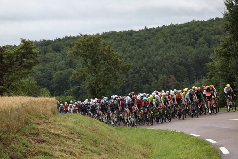 The pack of riders (peloton) cycles in the Cote d'Or department during the 8th stage of the 111th edition of the Tour de France cycling race, 183,5 km between Semur-en-Auxois and Colombey-les-deux-Eglises, on July 6, 2024.  Anne-Christine POUJOULAT / AFP