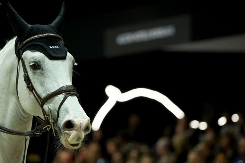 Horse Imagine is pictured in the FEI World Cup Jumping event at the Parc des Expositions in Bordeaux, south-western France, on February 8, 2025. ROMAIN PERROCHEAU / AFP