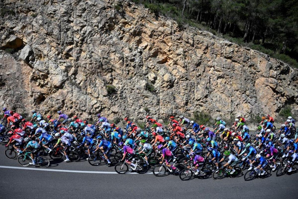 The pack rides near Mora d'Ebre during the 5th stage of the 2025 Volta a Catalunya cycling tour of Catalonia, a 172 km race between Pauls and Amposta, on March 28, 2025. Josep LAGO / AFP