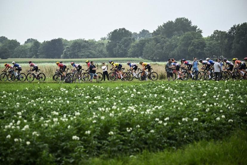 The pack of riders (peloton) compete during the 4th stage (out of 8) of the third edition of the Women's Tour de France cycling race, a 122.7 km between Valkenburg and Liege, on August 14, 2024. JULIEN DE ROSA / AFP