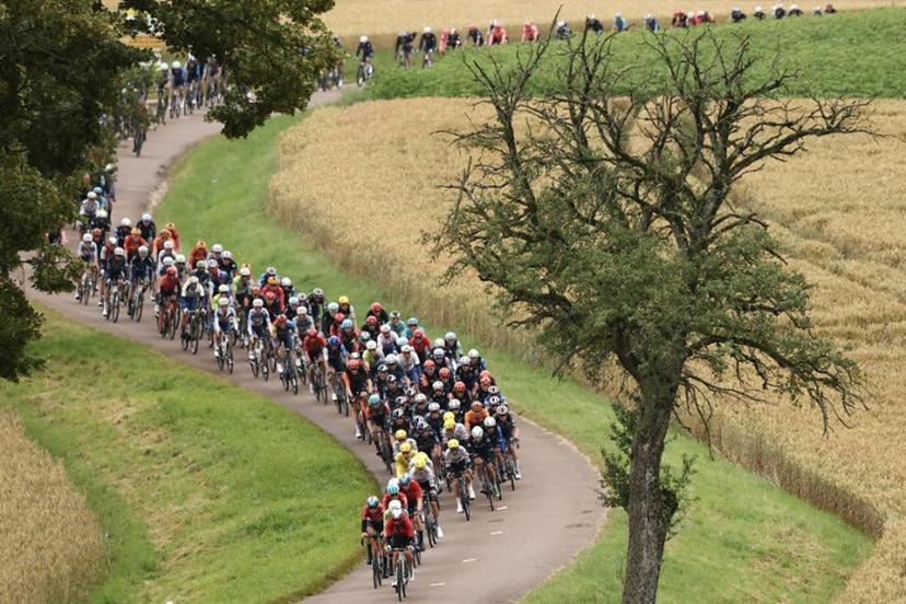 The pack of riders (peloton) cycles past fields during the 8th stage of the 111th edition of the Tour de France cycling race, 183,5 km between Semur-en-Auxois and Colombey-les-deux-Eglises, on July 6, 2024. Anne-Christine POUJOULAT / AFP
